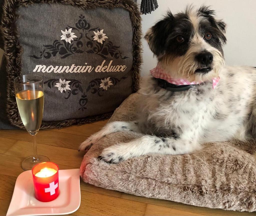 Mountain Deluxe Leilighet Bartholomäberg Eksteriør bilde